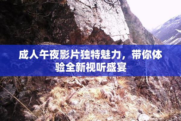 成人午夜影片独特魅力，带你体验全新视听盛宴