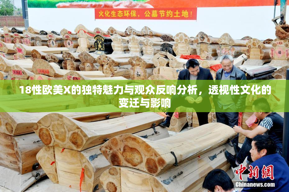 18性欧美X的独特魅力与观众反响分析，透视性文化的变迁与影响