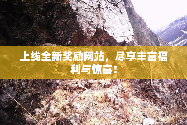 上线全新奖励网站，尽享丰富福利与惊喜！