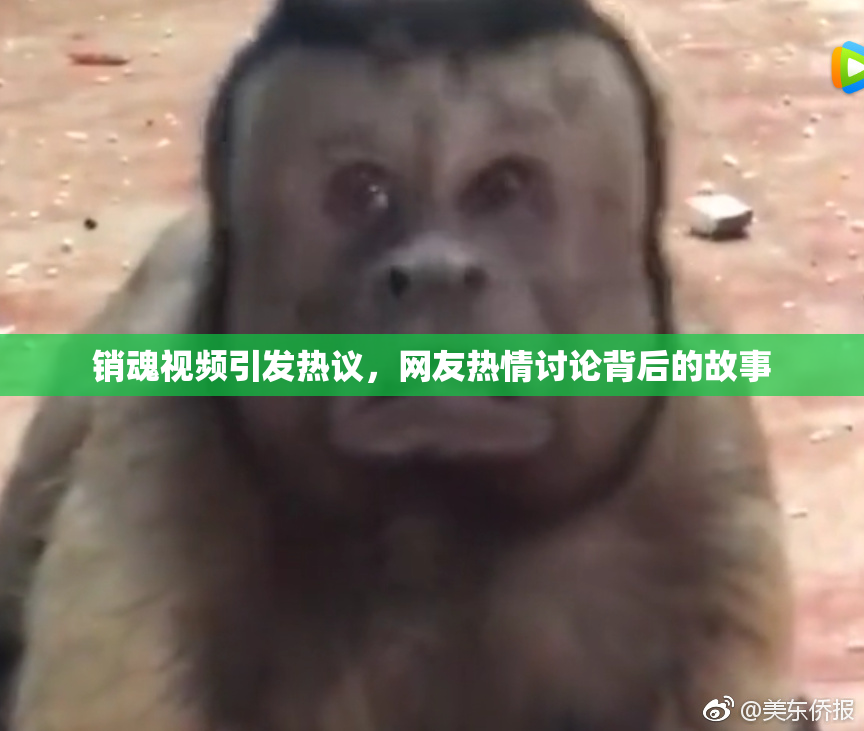 销魂视频引发热议，网友热情讨论背后的故事