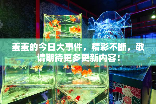 羞羞的今日大事件，精彩不断，敬请期待更多更新内容！