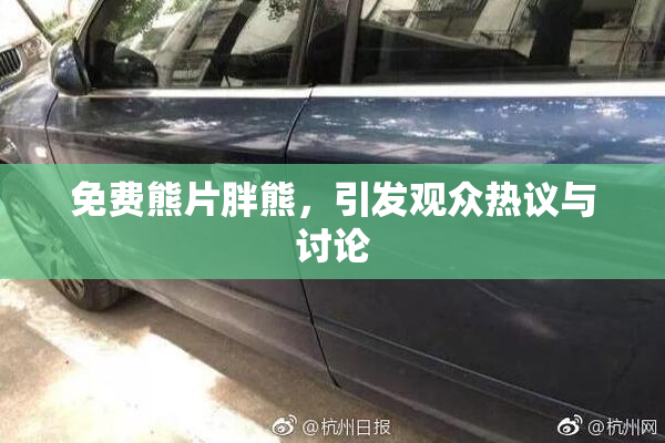 免费熊片胖熊，引发观众热议与讨论