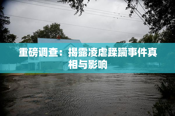 重磅调查：揭露凌虐蹂躏事件真相与影响