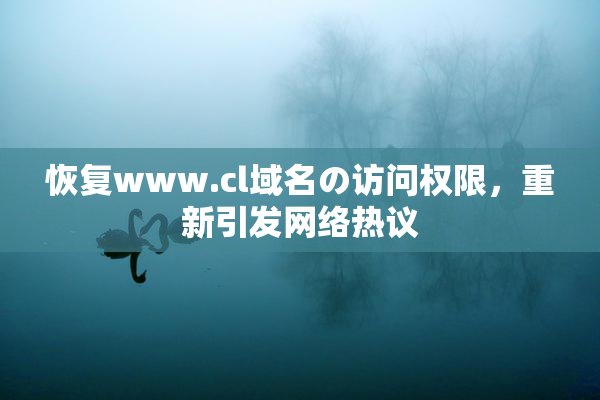 恢复www.cl域名の访问权限，重新引发网络热议