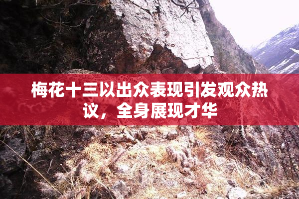 梅花十三以出众表现引发观众热议，全身展现才华
