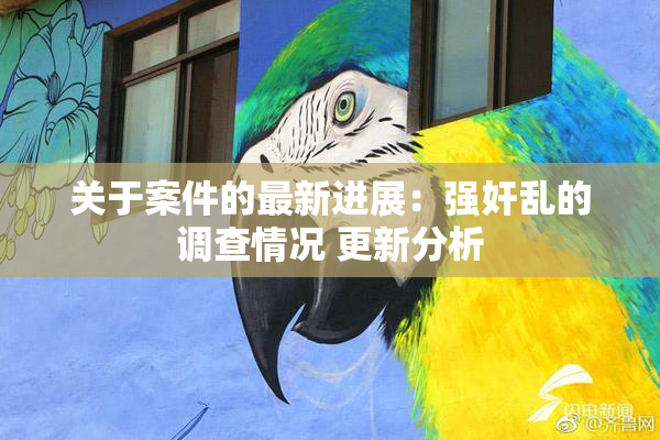 关于案件的最新进展：强奸乱的调查情况 更新分析