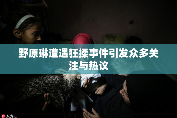 野原琳遭遇狂揉事件引发众多关注与热议