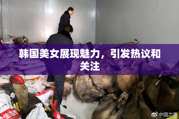 韩国美女展现魅力，引发热议和关注
