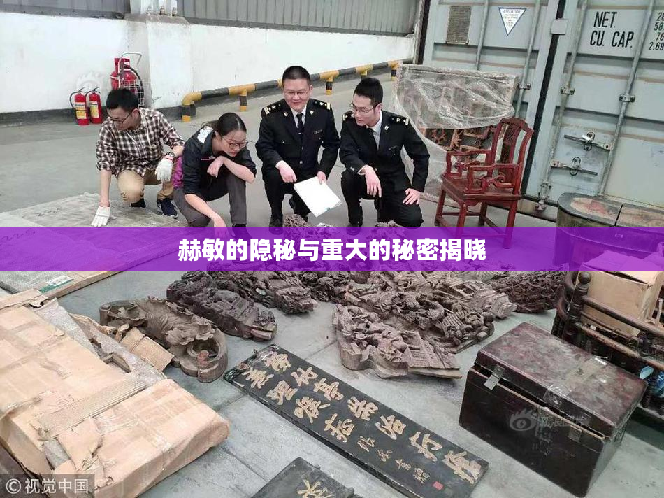 赫敏的隐秘与重大的秘密揭晓