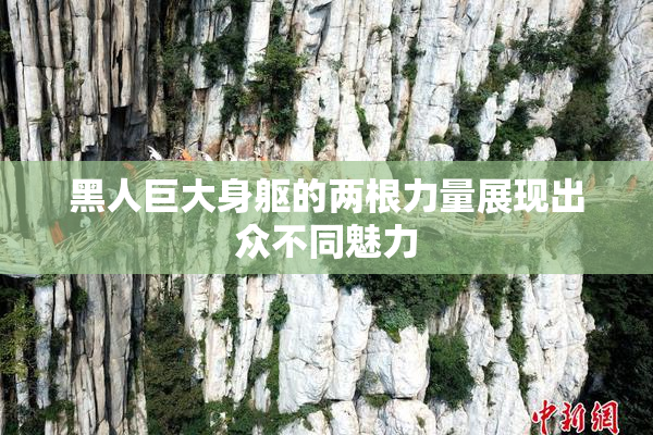 黑人巨大身躯的两根力量展现出众不同魅力