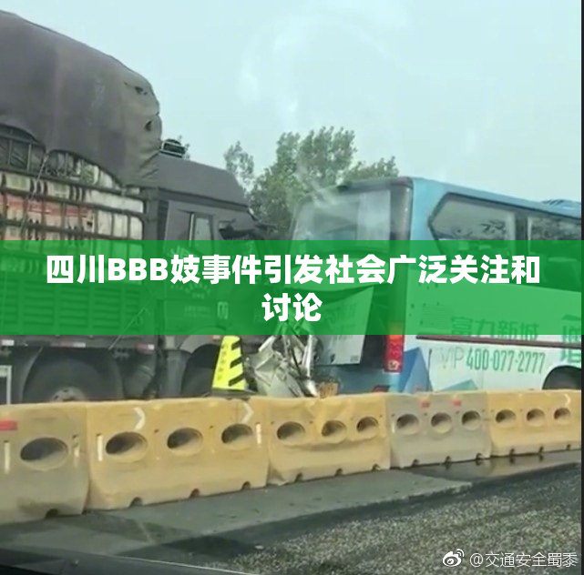 四川BBB妓事件引发社会广泛关注和讨论