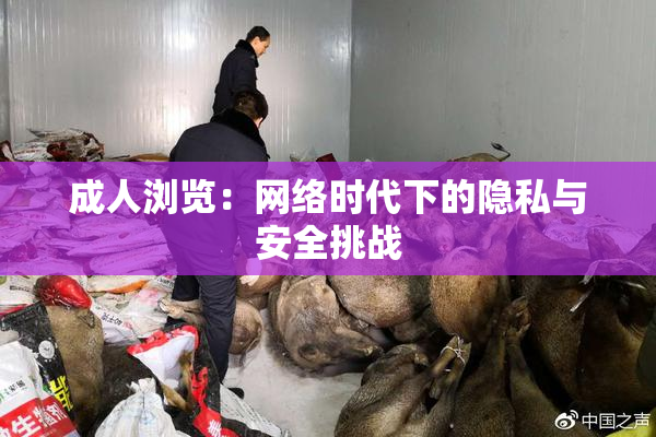 成人浏览：网络时代下的隐私与安全挑战