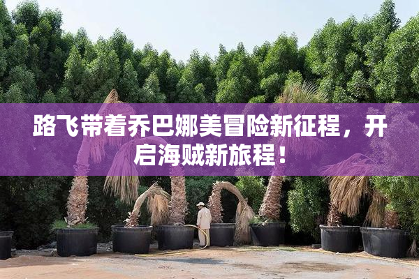 路飞带着乔巴娜美冒险新征程，开启海贼新旅程！