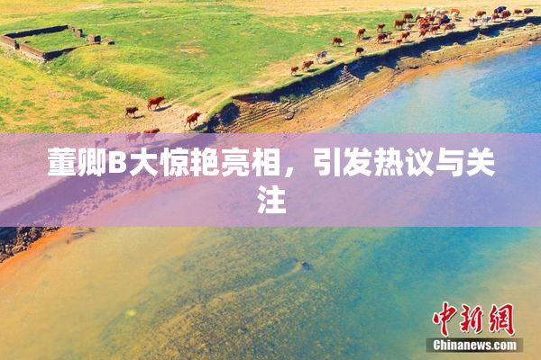 董卿B大惊艳亮相，引发热议与关注
