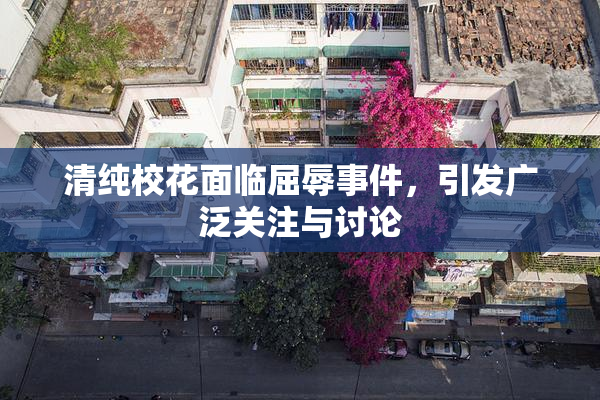清纯校花面临屈辱事件，引发广泛关注与讨论