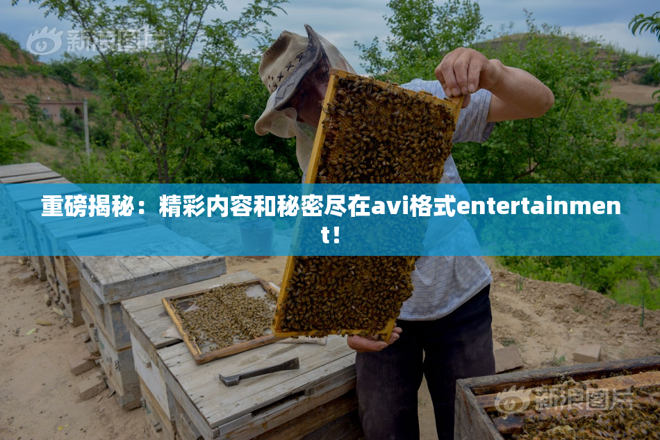 重磅揭秘：精彩内容和秘密尽在avi格式entertainment！