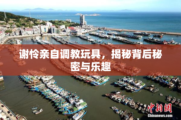 谢怜亲自调教玩具，揭秘背后秘密与乐趣