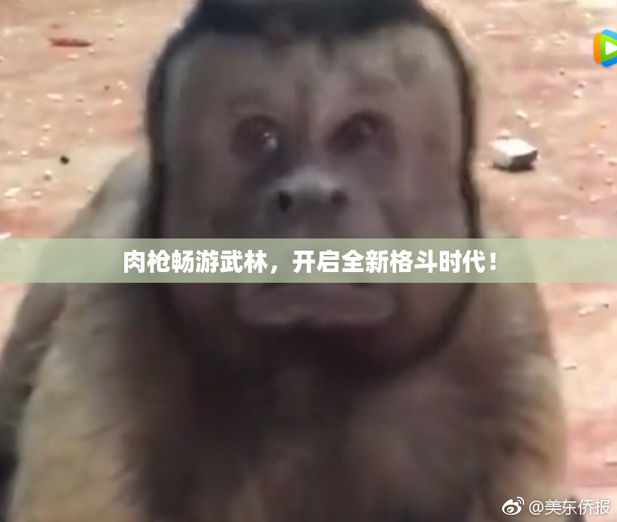 肉枪畅游武林，开启全新格斗时代！