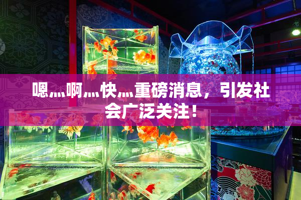 嗯灬啊灬快灬重磅消息，引发社会广泛关注！