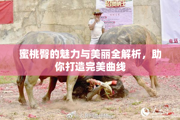 蜜桃臀的魅力与美丽全解析，助你打造完美曲线