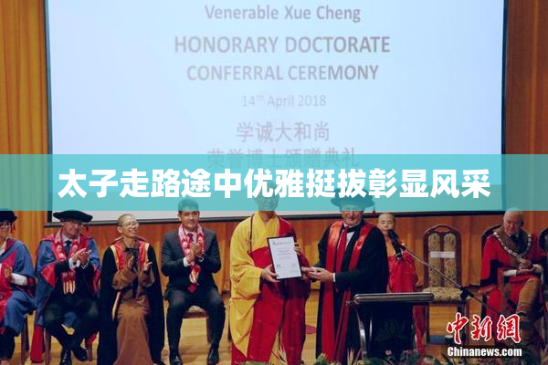 太子走路途中优雅挺拔彰显风采