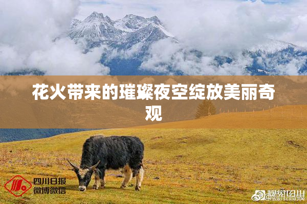 花火带来的璀璨夜空绽放美丽奇观
