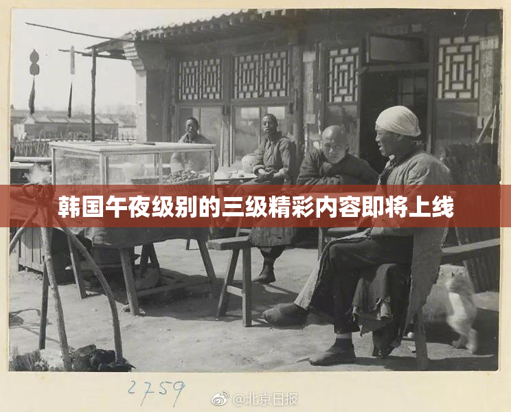 韩国午夜级别的三级精彩内容即将上线