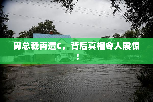 男总裁再遭C，背后真相令人震惊！