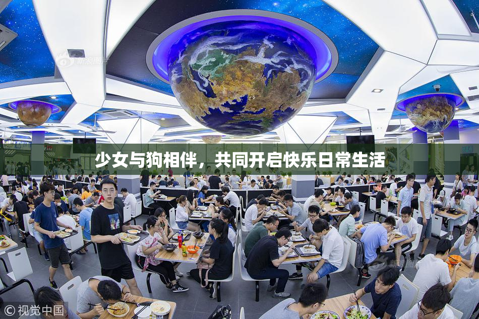 少女与狗相伴，共同开启快乐日常生活