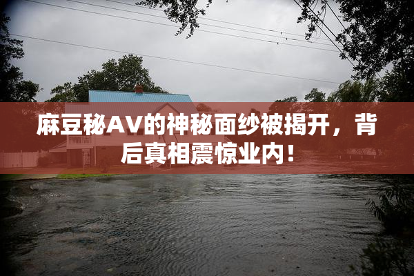 麻豆秘AV的神秘面纱被揭开，背后真相震惊业内！