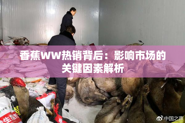 香蕉WW热销背后：影响市场的关键因素解析