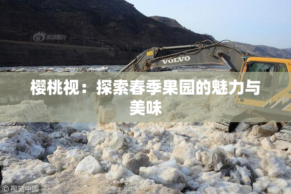 樱桃视：探索春季果园的魅力与美味
