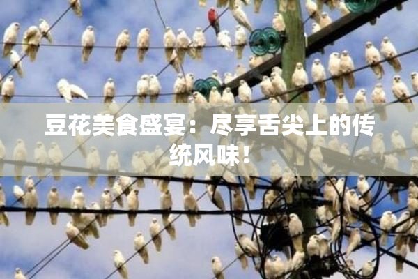 豆花美食盛宴：尽享舌尖上的传统风味！