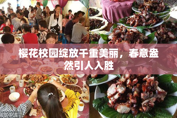 樱花校园绽放千重美丽，春意盎然引人入胜