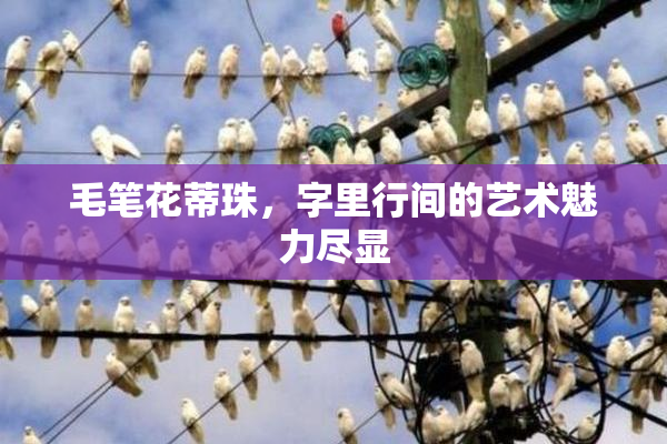 毛笔花蒂珠，字里行间的艺术魅力尽显