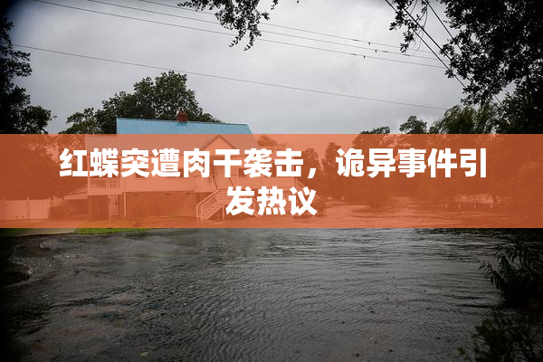 红蝶突遭肉干袭击，诡异事件引发热议