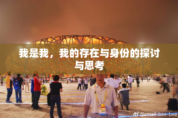 我是我，我的存在与身份的探讨与思考