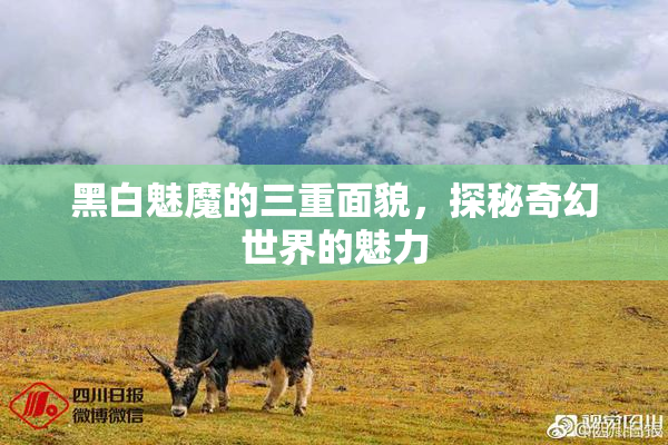 黑白魅魔的三重面貌，探秘奇幻世界的魅力