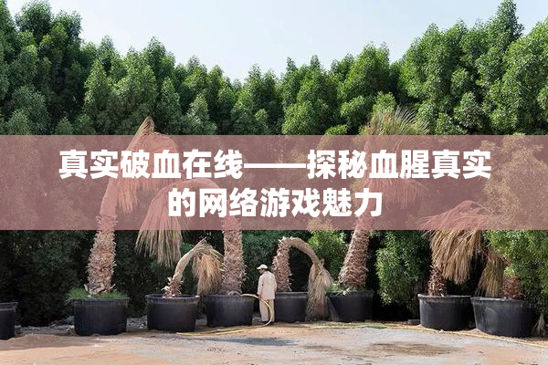 真实破血在线——探秘血腥真实的网络游戏魅力