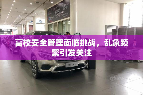 高校安全管理面临挑战，乱象频繁引发关注