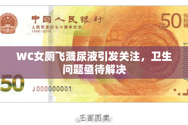 WC女厕飞溅尿液引发关注，卫生问题亟待解决