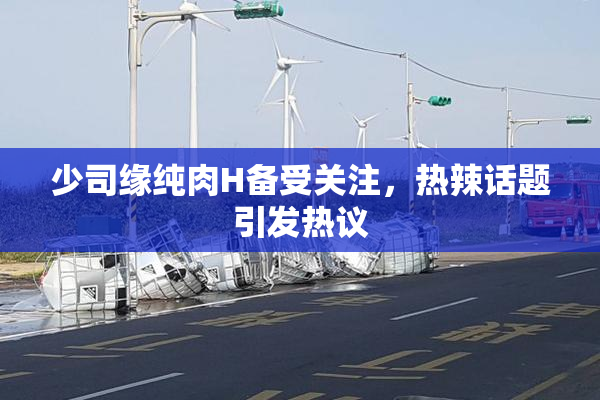 少司缘纯肉H备受关注，热辣话题引发热议
