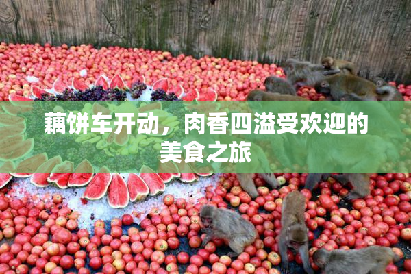 藕饼车开动，肉香四溢受欢迎的美食之旅