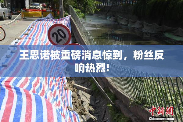 王思诺被重磅消息惊到，粉丝反响热烈!