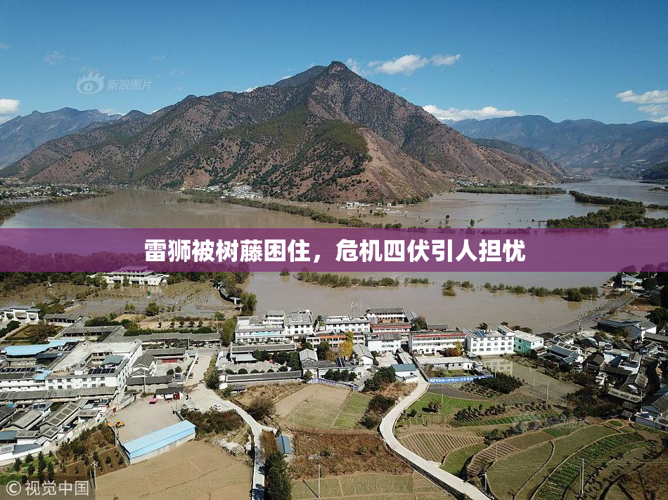 雷狮被树藤困住，危机四伏引人担忧