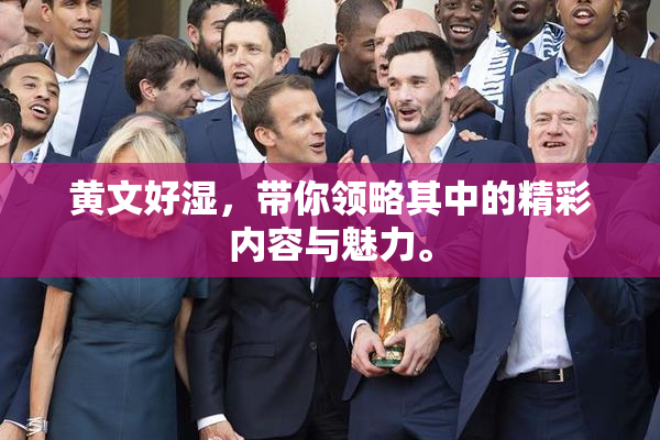 黄文好湿，带你领略其中的精彩内容与魅力。