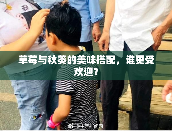 草莓与秋葵的美味搭配，谁更受欢迎？