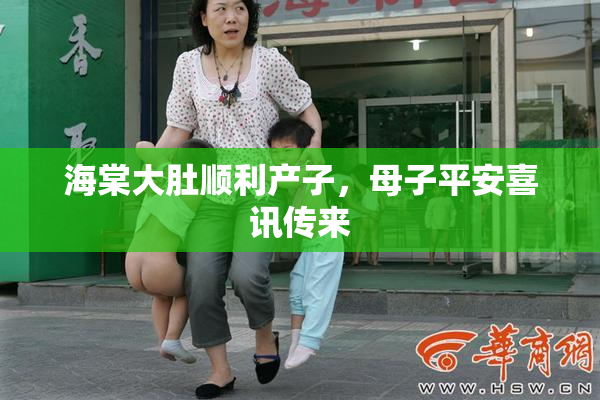 海棠大肚顺利产子，母子平安喜讯传来