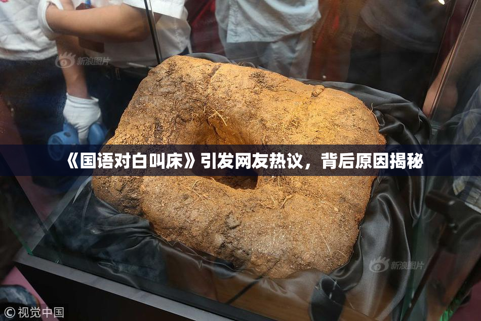 《国语对白叫床》引发网友热议，背后原因揭秘