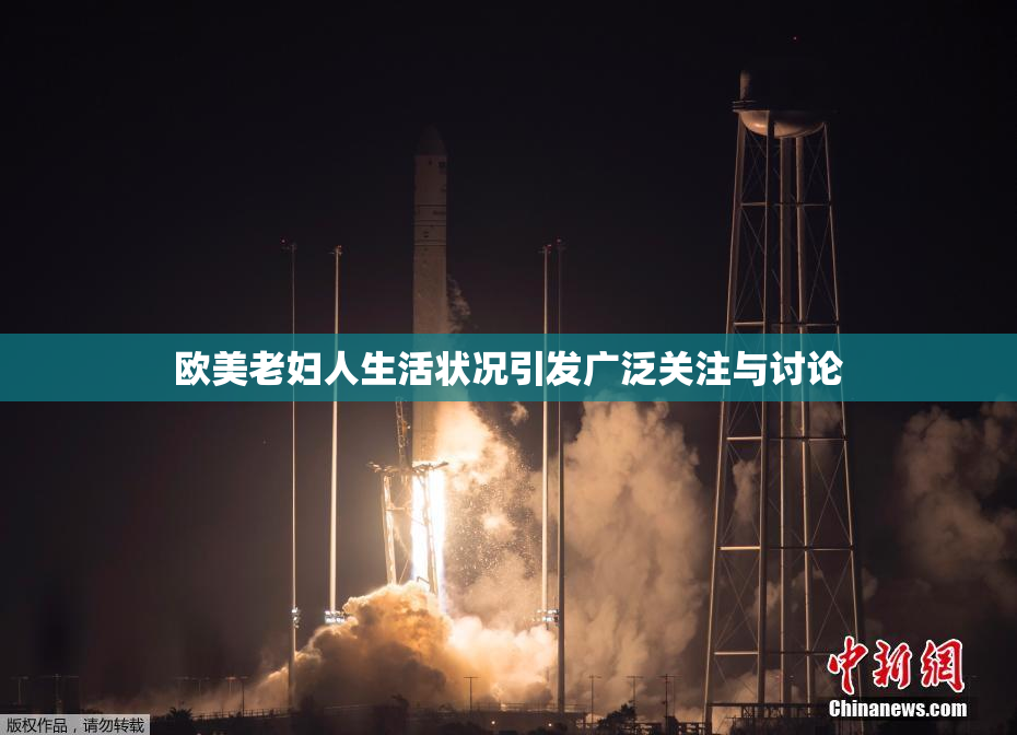 欧美老妇人生活状况引发广泛关注与讨论